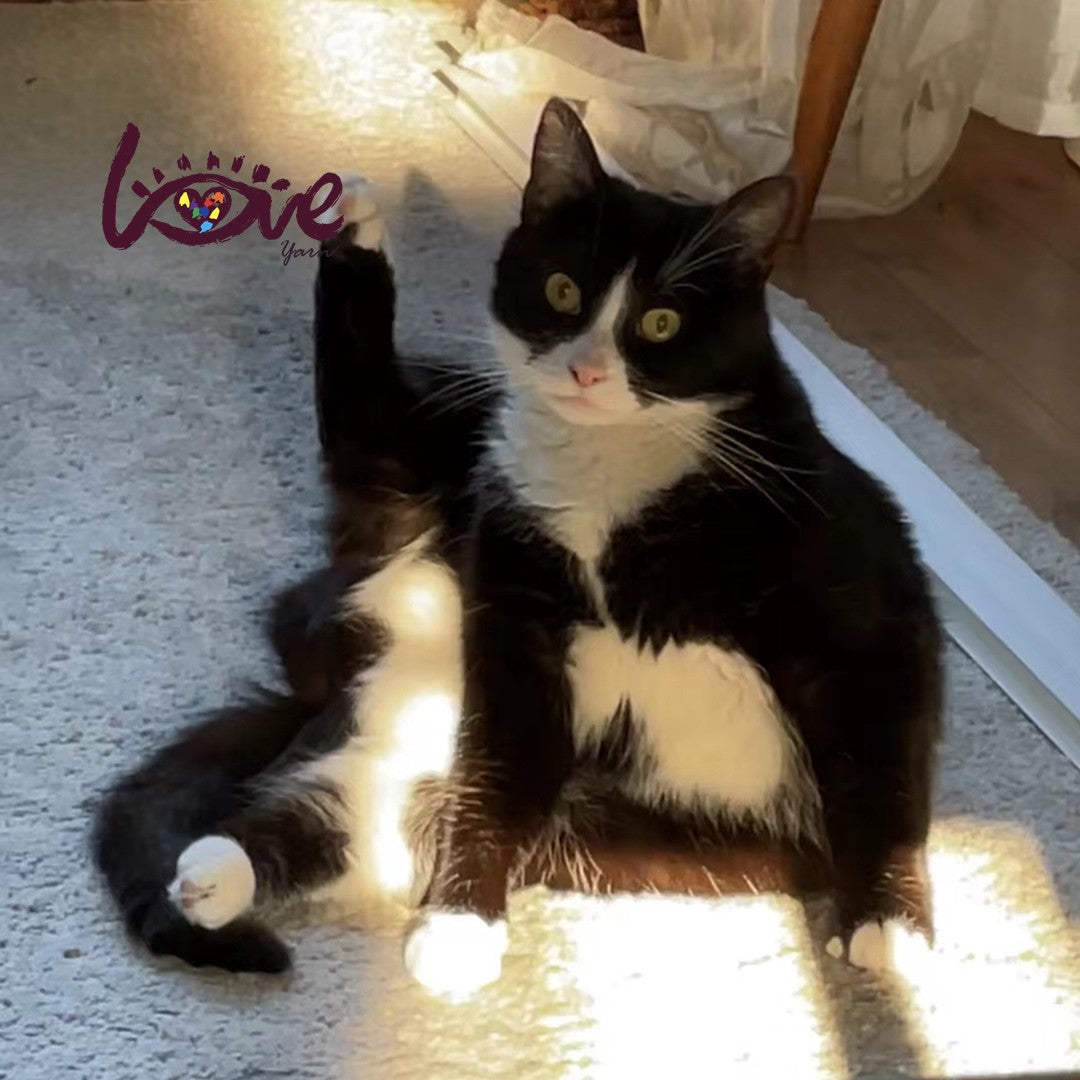 Kung Fu Oreo