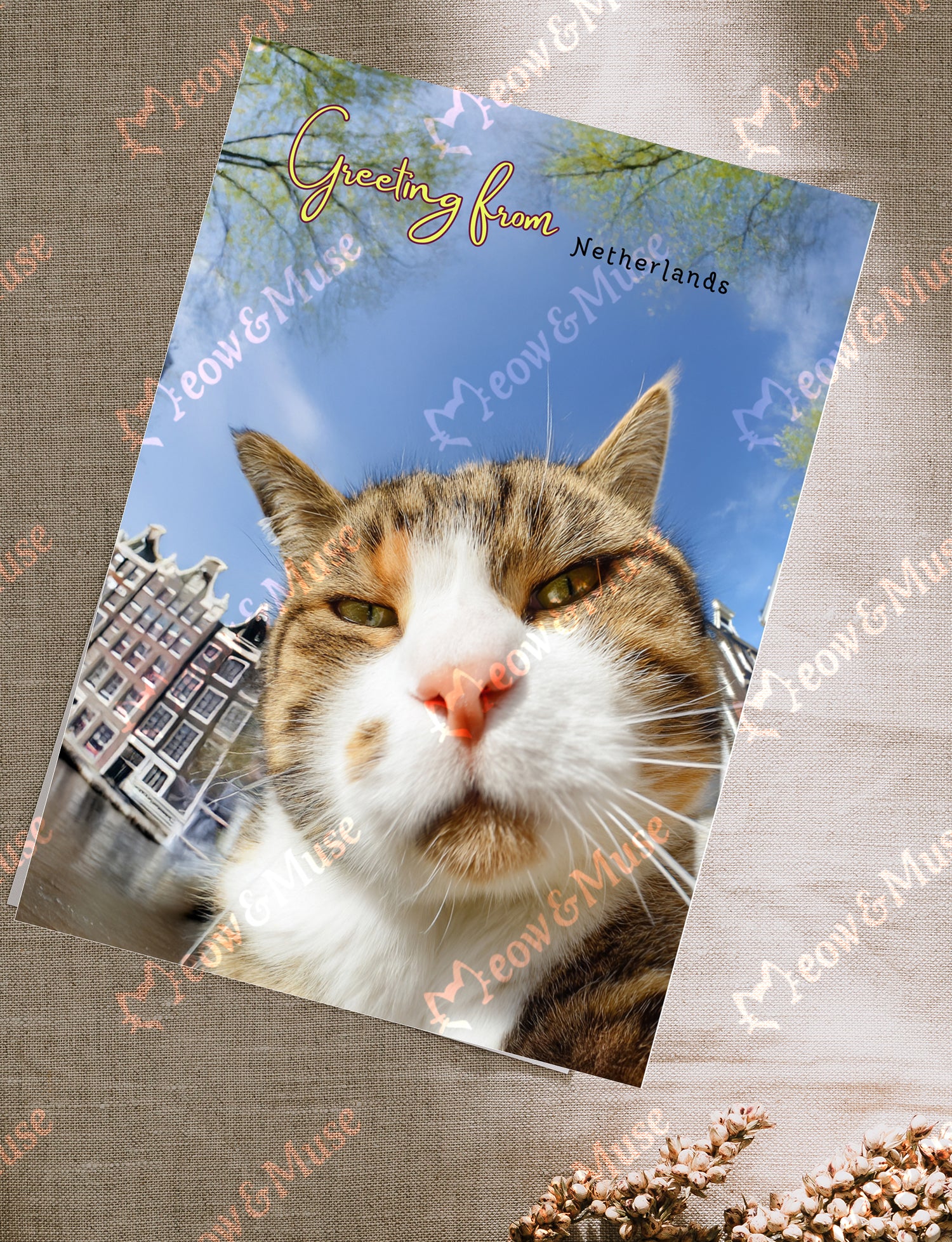 Postcard 'Greeting from Netherlands'