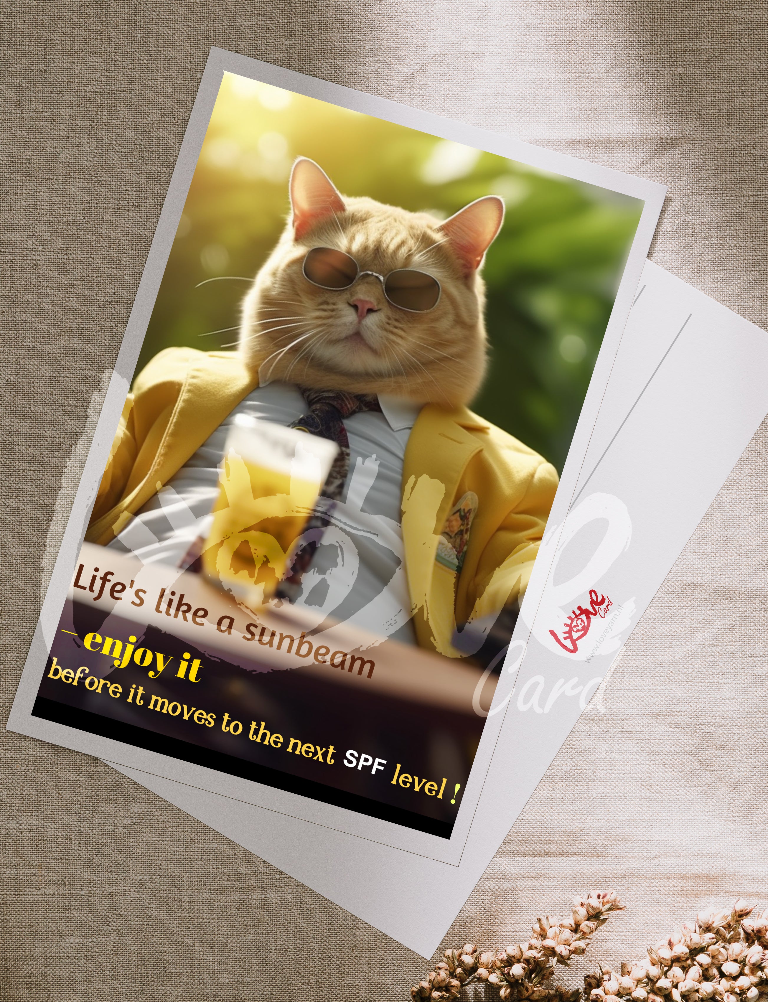 Postcard 'Life's like a sun beam'