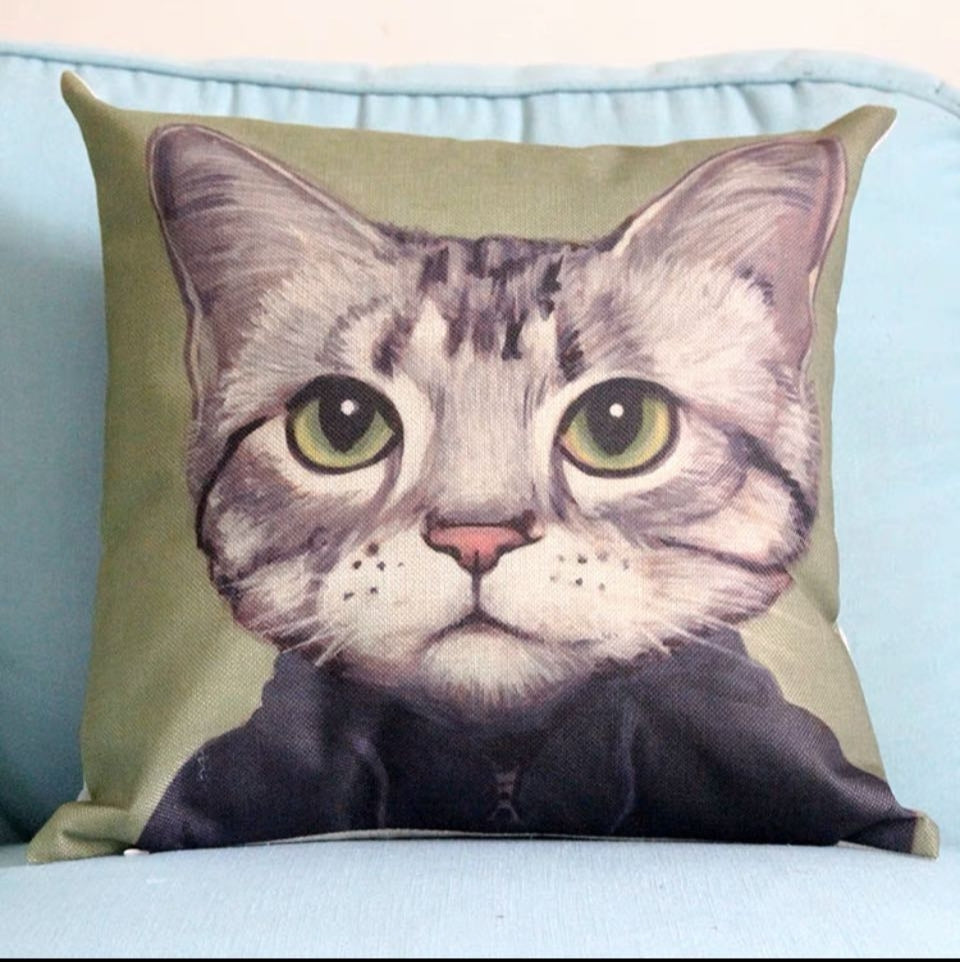 Pillow cover