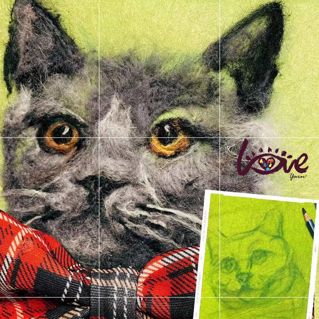 Lieven, British short hair cat