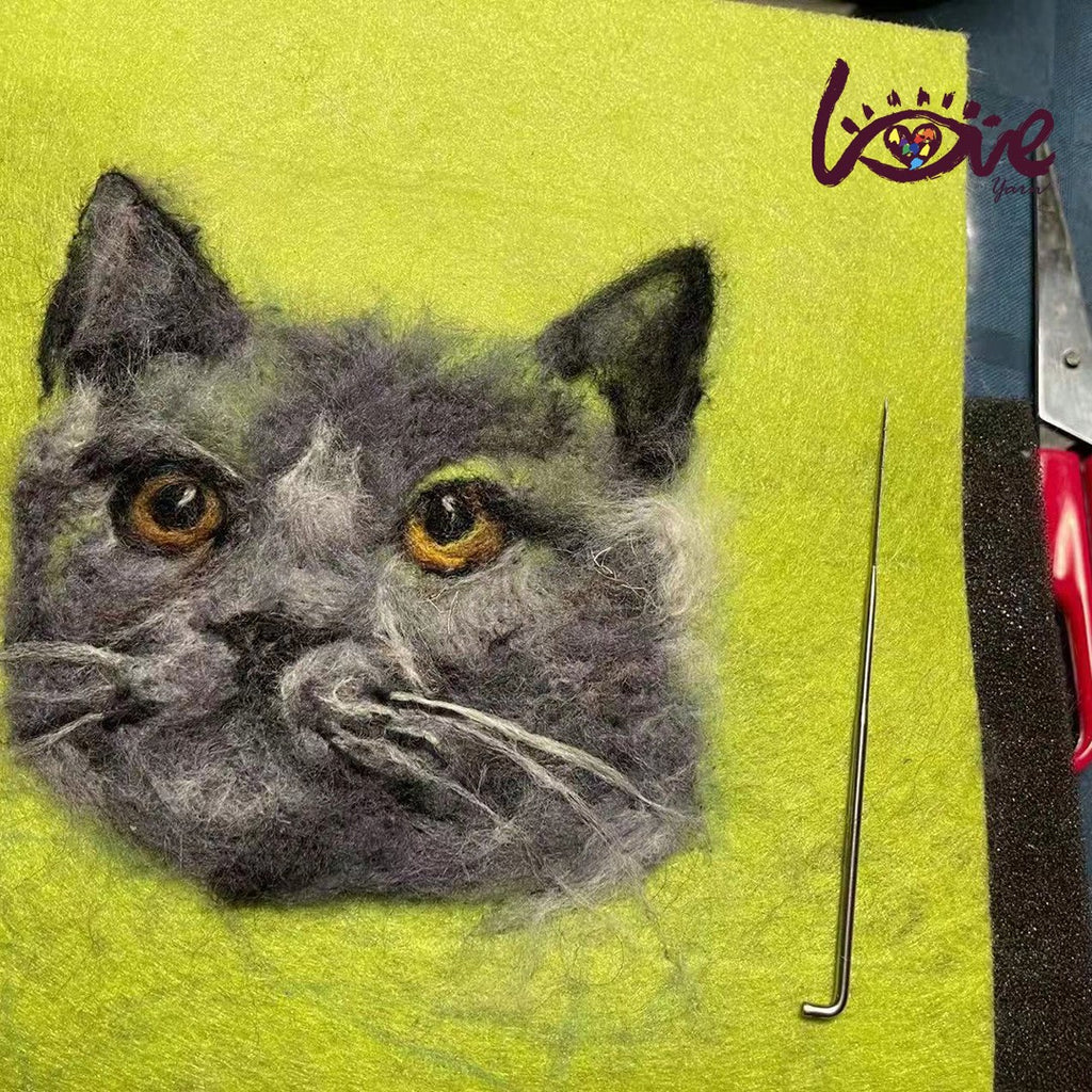 Lieven, British short hair cat