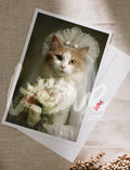 Postcard 'Bride cat'