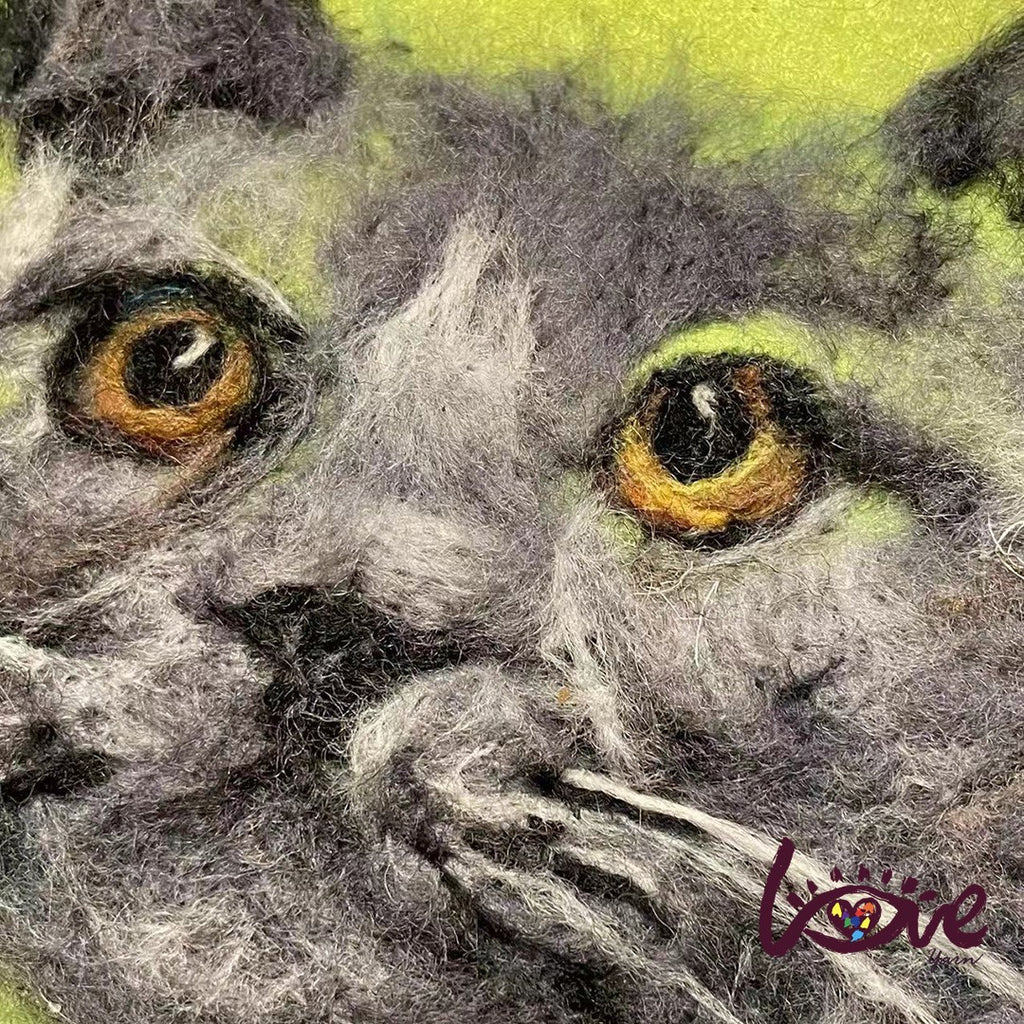 Lieven, British short hair cat