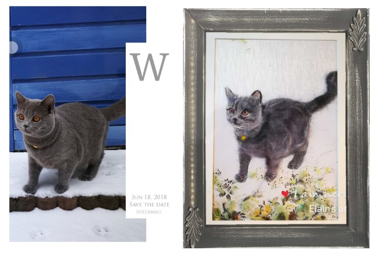 Specially wool painting portrait for your pets