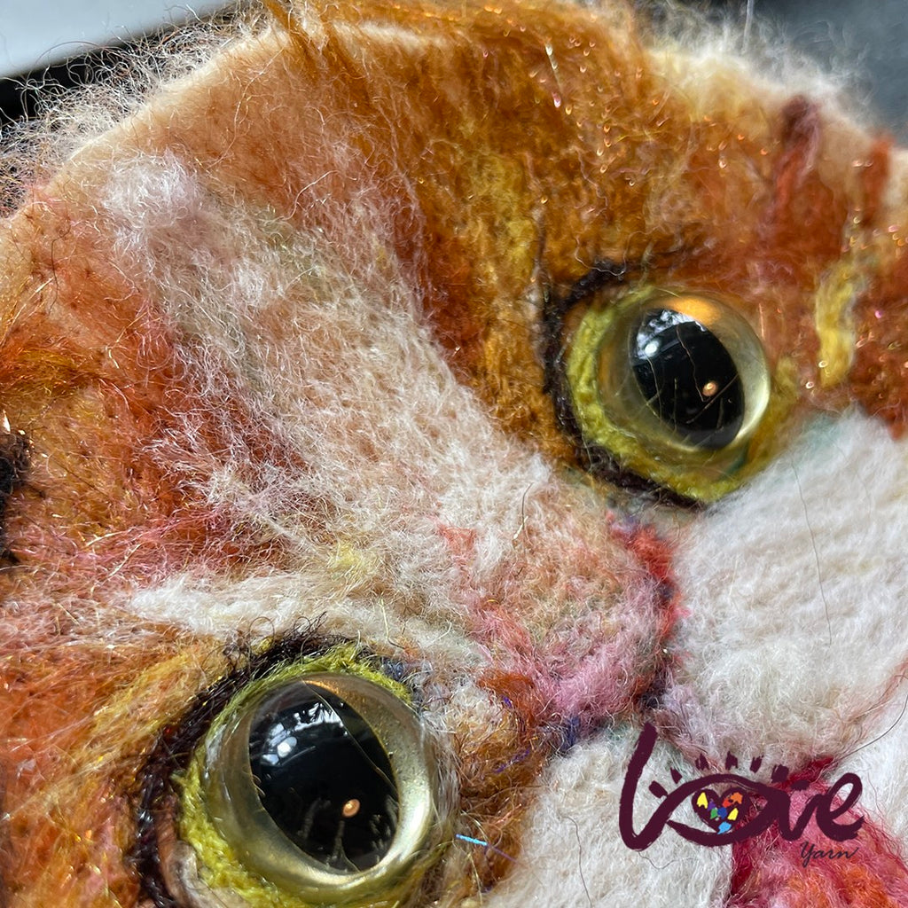 A cute cat II