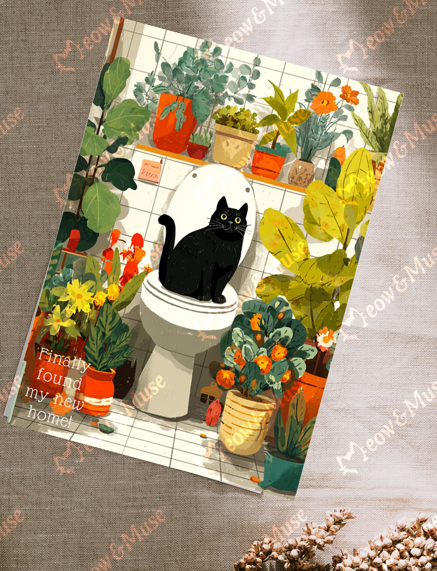 Postcard 'Found my new home'